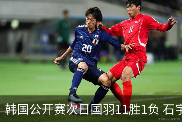 韩国公开赛次日国羽11胜1负 石宇奇李诗沣晋级